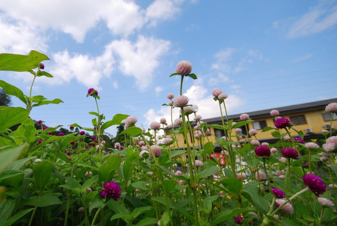 Shizukatei Hotel Hiraizumi Exterior photo